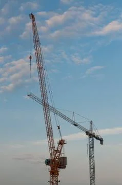 Two Cranes in the Evening Stock Photos