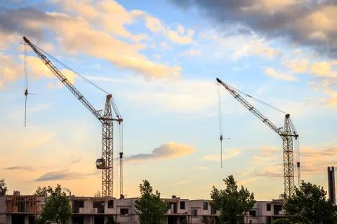 Two cranes Foto stock