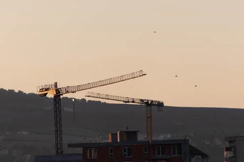Two Cranes stop working Stock Photos
