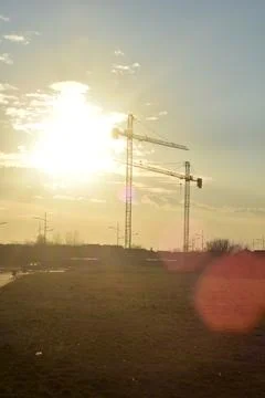 Two cranes on a winter evening sunset  Stock Photos