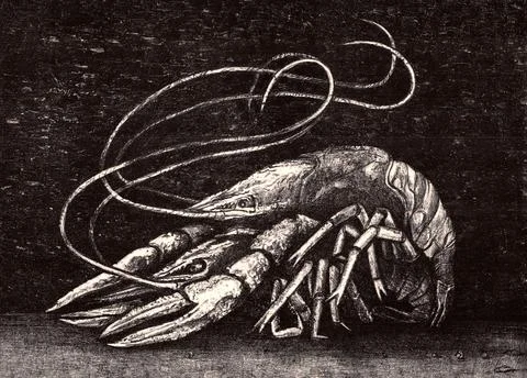 Two crayfish. lovers Stock Illustration