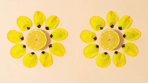 Two creative summer yellow flowers made of lemon and flower petals. Stop motion Stock Footage 152910853