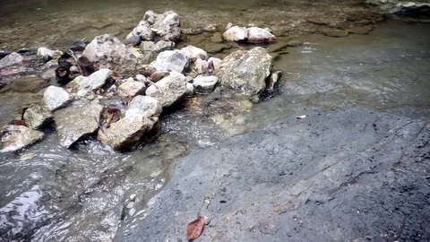 Two Creeks Become One Stockbeeldmateriaal 79331834