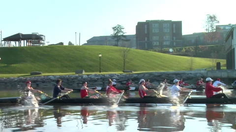 Two crew boat teams rows near shore Stock Footage 998281