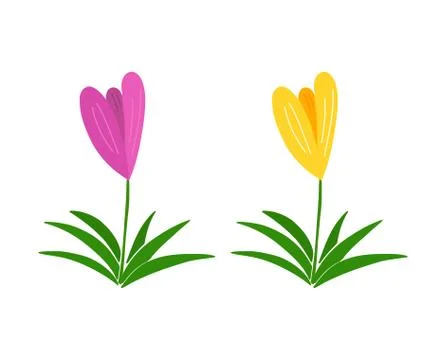 Two crocus flowers icons. First signs of spring .Vector illustration Stock Illustration