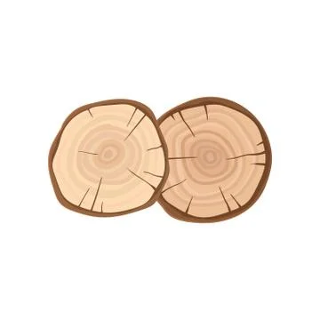 Two cross sections of tree trunks with annual growth rings. Organic material イラスト素材