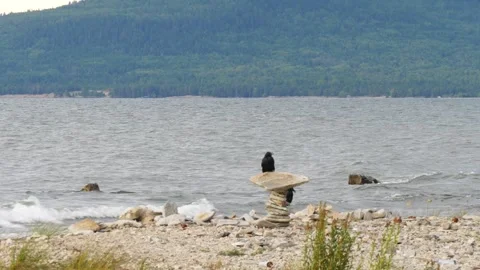 Two crows are sitting on rocks on the shore of Lake Baikal. Stock Footage 285381069