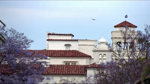 Two Crows Flying Over Palace-like Building Stock Footage 132018116