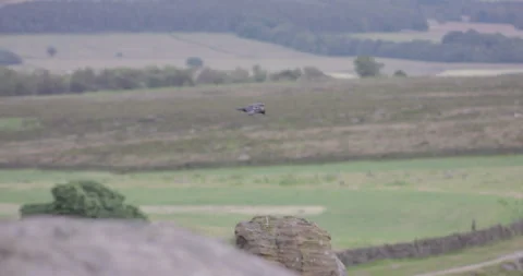 Two crows gliding in wind by rocks Stock-Footage 245502999