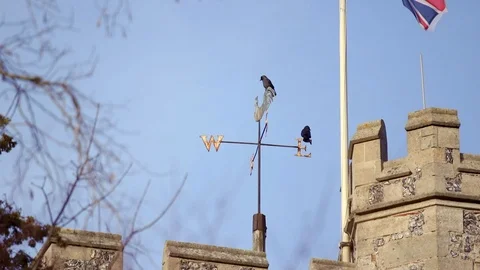 Two Crows sit on top of Church before flying away. Stock Footage 85607983