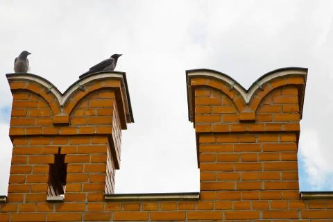 Two Crows sitting on Kremlin wall Stock-Fotos