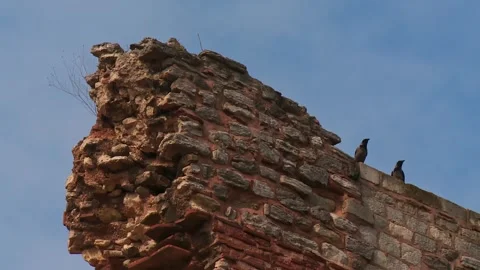 Two Crows Standing on a Partially Ruined Stone Wall 스톡 동영상 325852050