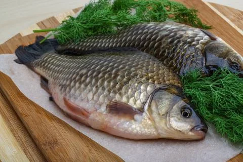 Two crucian Stock-Fotos