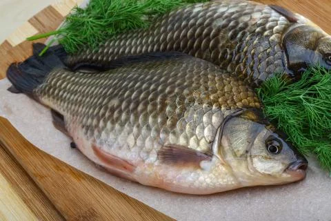 Two crucian Stock Photos