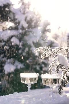 Two crystal glasses of sparkling wine or champagne in snow on winter natural Stock Photos