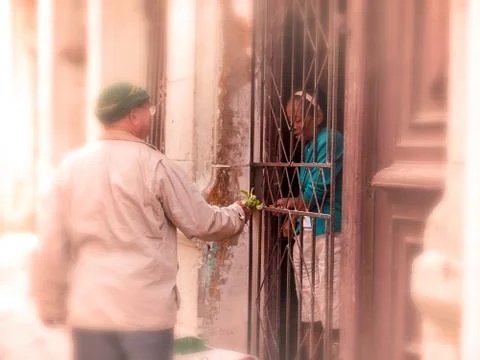Two Cubans make a buying and selling of vegetables through the house cancello Stock Photos
