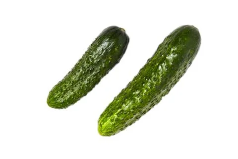 Two Cucumbers isolated on white background Stock Photos