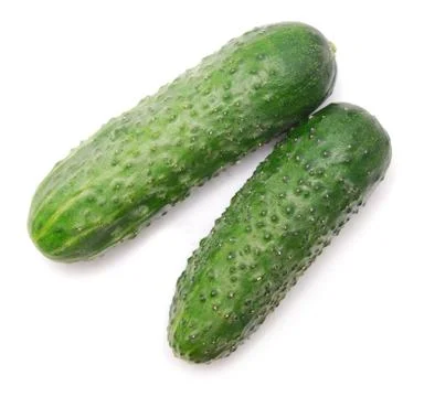 Two cucumbers Stock Photos