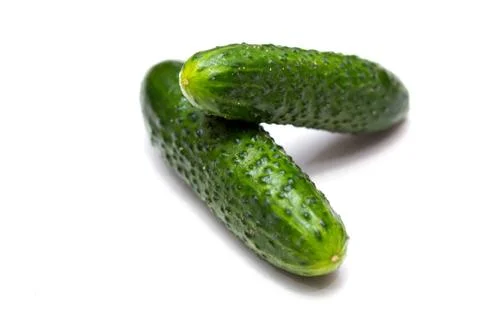 Two cucumbers on a white background Stock Photos