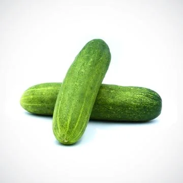Two cucumbers on a white background Stock Photos