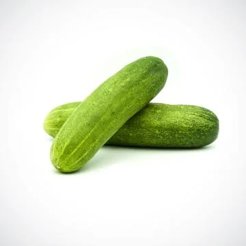 Two cucumbers on a white background Stock Photos