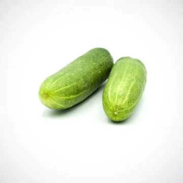 Two cucumbers on a white background Stock Photos
