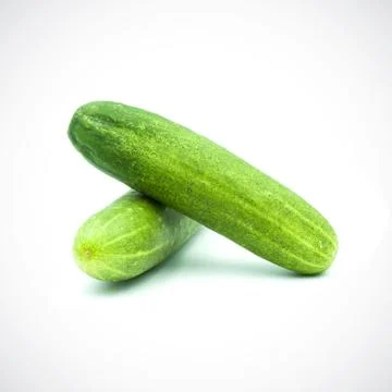 Two cucumbers on a white background Stock Photos