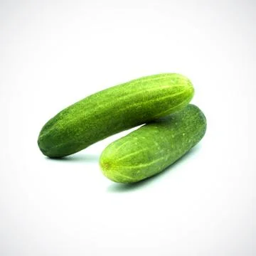 Two cucumbers on a white background Stock Photos