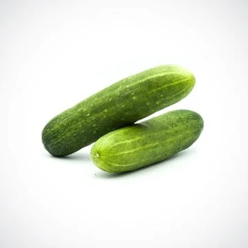 Two cucumbers on a white background Stock Photos