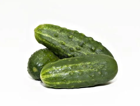 Two cucumbers on a white background Stock Photos
