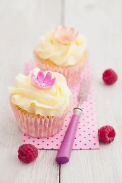 Two cupcakes Foto stock