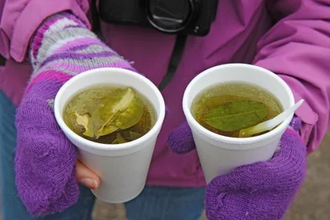 Two cups of coca tea in ecuador Stock Photos