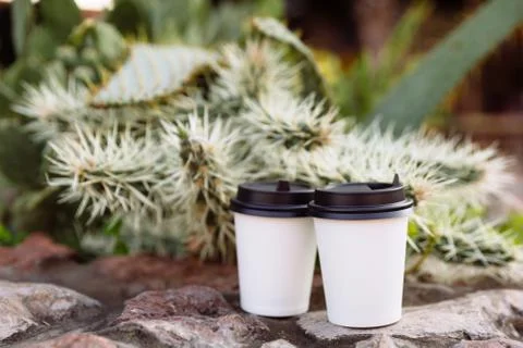 Two cups of coffee to go, cups in white paper on the stones. Stock Photos