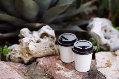 Two cups of coffee to go, cups in white paper on the stones. Stock Photos
