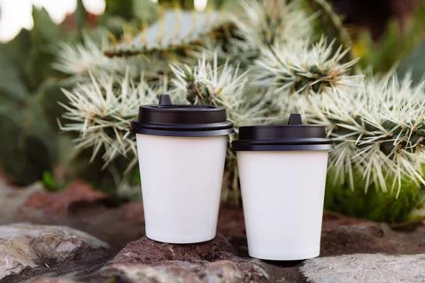Two cups of coffee to go, cups in white paper on the stones. Stock Photos