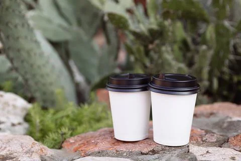 Two cups of coffee to go, cups in white paper on the stones. Foto stock