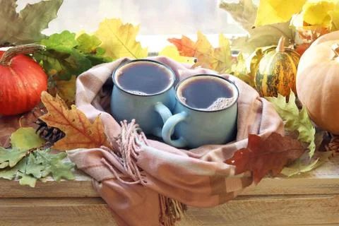 Two cups of coffee, pumpkins, leaves on a window background Stock Photos