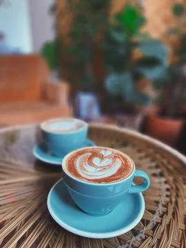 Two cups of coffee on a table with a plant behind them Stockfoto's