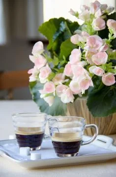 Two cups of espresso coffee on the table ready for italian breakfast Stock Photos