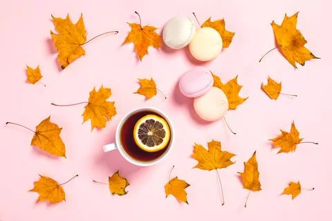 Two cups of tea with marshmallow and maple leaves. Stock Photos