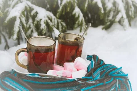 Two cups of tea with marshmallows under the tree in winter in the snow Stock Photos