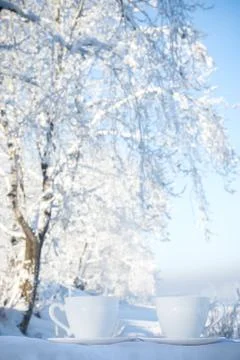 Two cups of tea on winter background Stock Photos