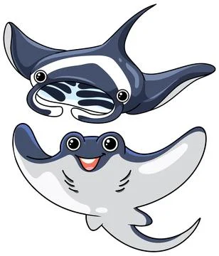 Two Cute Cartoon Manta Rays Swimming on a White Background イラスト素材