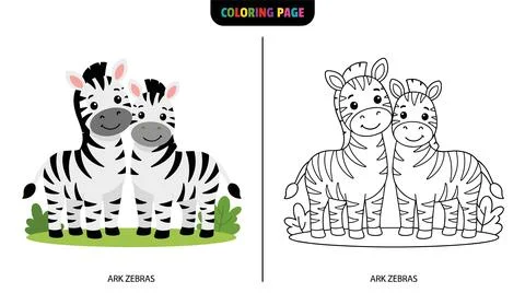 Two cute cartoon zebras standing together, presented as a coloring page with Stock Illustration
