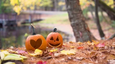 Two cute carved pumpkins along forest path in autumn Stock Footage 162931963