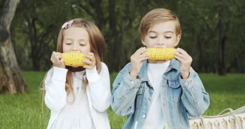 Two cute children boy and girl eating boiled corn cobs during picnic Stock Footage 136529990
