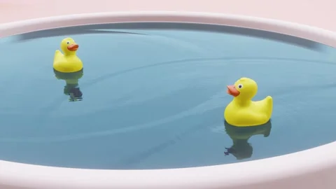 Two cute ducks are having fun swinging on the waves in the water of the pool Stock Footage 211056674