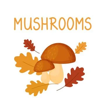 Two cute hog mushrooms on the background of autumn leaves are isolated on a.. Stock Illustration