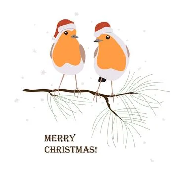 Two cute robin birds in red Santa helper hat sitting on a pine brunch. Xmas c Stock Illustration