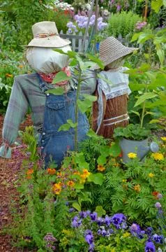 Two cute scarecrows Stock Photos